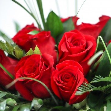 Comprar Bouquet de 16 roses en gerro Barcelona