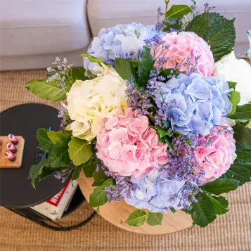 Comprar Ram d'hortensia a Barcelona | Flors de Primavera