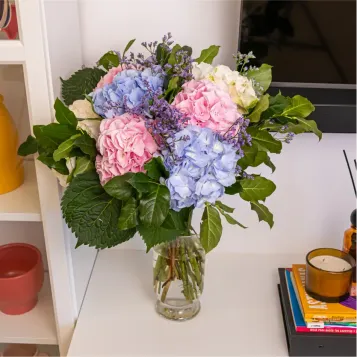 Comprar Ramo hortensias en Barcelona | Flores de Primavera