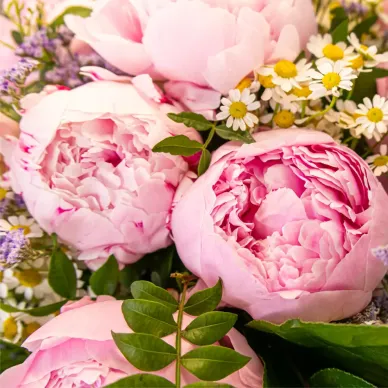 Comprar Ram de peonia a Barcelona | Flors de Primavera 2