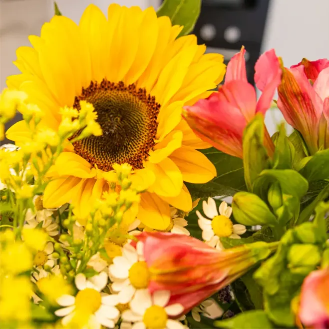 Comprar Ram girasols garden a Barcelona | Flors de Primavera