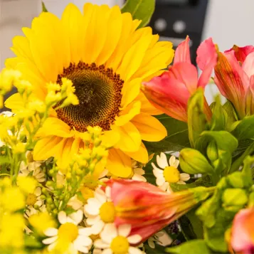 Comprar Ram girasols garden a Barcelona | Flors de Primavera