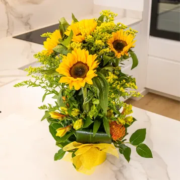 Comprar Vertical de girasols a Barcelona | Flors de Primavera