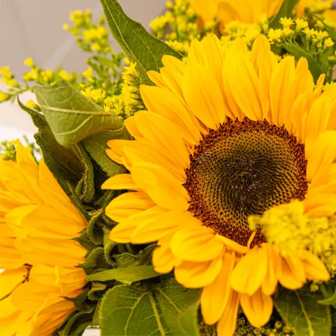 Comprar Vertical de girasols a Barcelona | Flors de Primavera