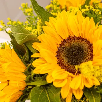 Comprar Vertical de girasoles en Barcelona | Flores de Primavera