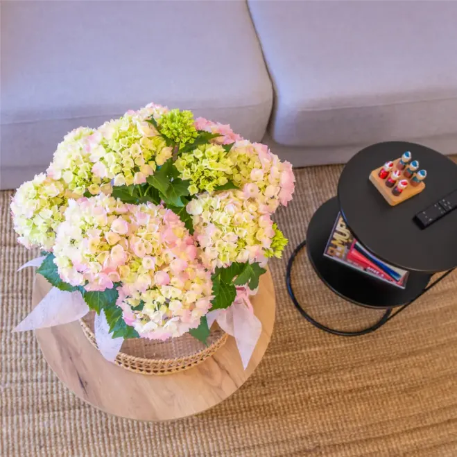 Comprar Susurro de Hortensias en Barcelona | FLORES DÍA DE LA MADRE