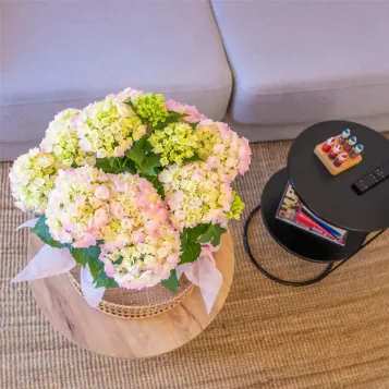 Comprar Susurro de Hortensias en Barcelona | FLORES DÍA DE LA MADRE