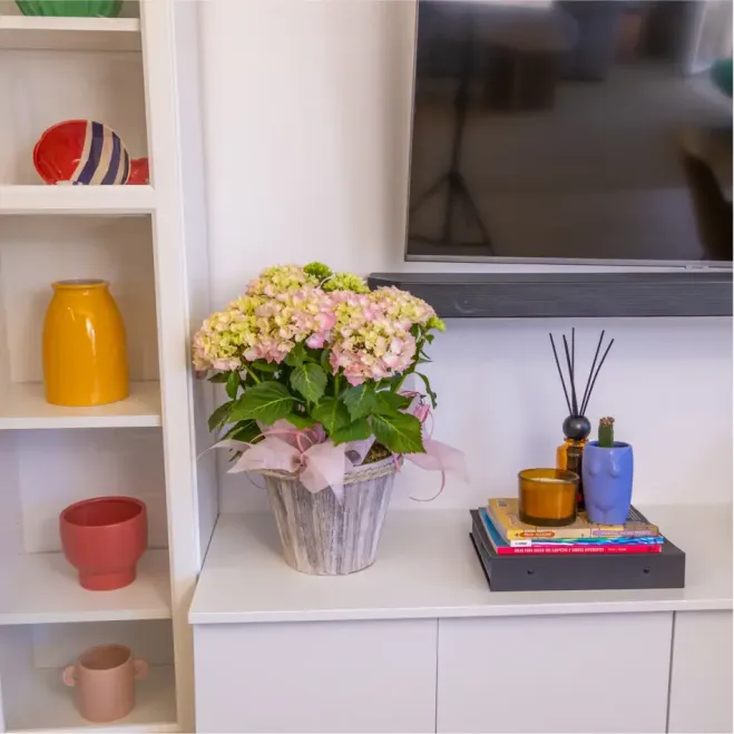 Comprar Susurro de Hortensias en Barcelona | FLORES DÍA DE LA MADRE