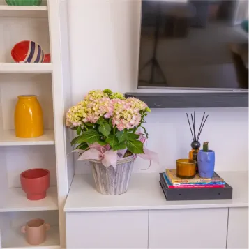 Comprar Susurro de Hortensias en Barcelona | FLORES DÍA DE LA MADRE