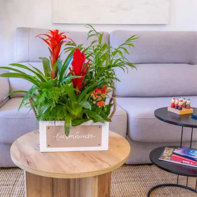 Comprar Selva en Casa en Barcelona | FLORES DÍA DE LA MADRE