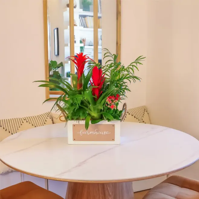 Comprar Selva a Casa a Barcelona | FLORS DIA DE LA MARE