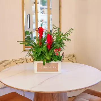 Comprar Selva en Casa en Barcelona | FLORES DÍA DE LA MADRE