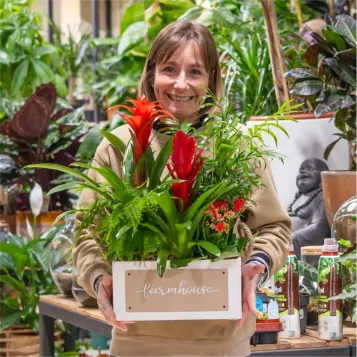 Comprar Selva en Casa en Barcelona | FLORES DÍA DE LA MADRE