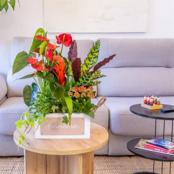 Comprar Pasión Natural en Barcelona | FLORES DÍA DE LA MADRE