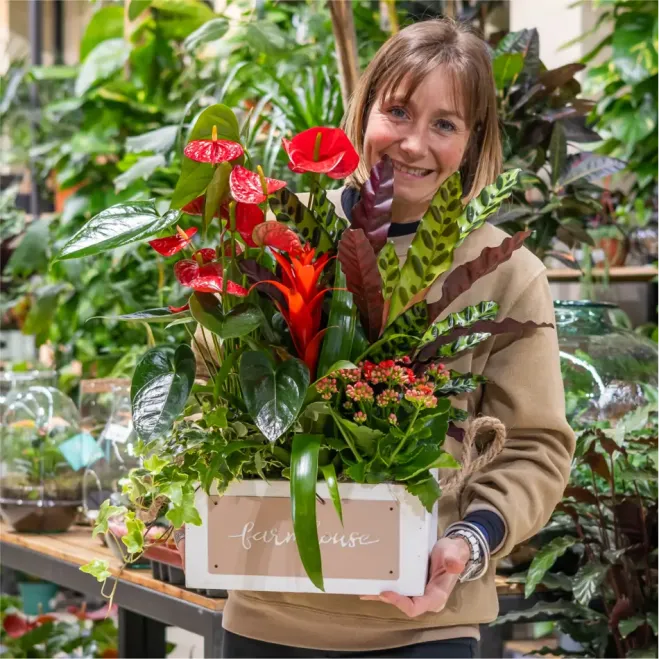 Comprar Passió Natural a Barcelona | FLORS DIA DE LA MARE