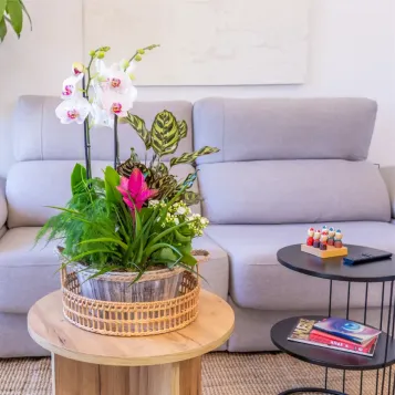 Comprar Jardí Arc de Sant Martí a Barcelona | FLORS DIA DE LA MARE