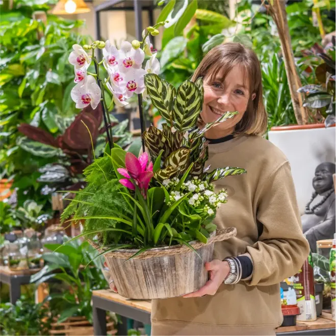 Comprar Jardí Arc de Sant Martí a Barcelona | FLORS DIA DE LA MARE
