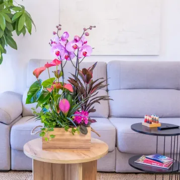 Comprar Encanto Rosa en Barcelona | FLORES DÍA DE LA MADRE