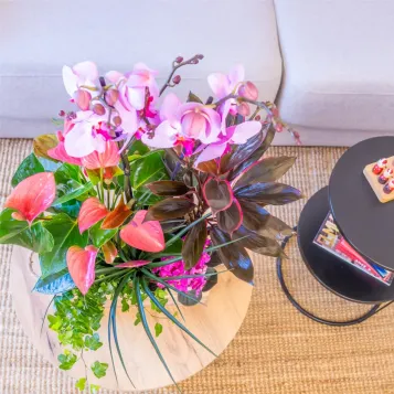 Comprar Encant Rosa a Barcelona | FLORS DIA DE LA MARE