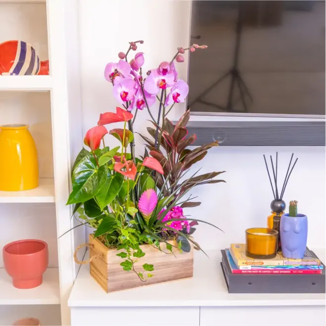 Comprar Encanto Rosa en Barcelona | FLORES DÍA DE LA MADRE