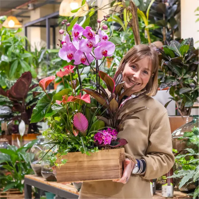 Comprar Encanto Rosa en Barcelona | FLORES DÍA DE LA MADRE
