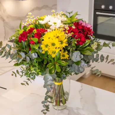 Comprar Ramo margaritas Primavera Fresca en Barcelona | FLORES DÍA DE LA MADRE