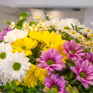 Comprar Ram margarides Primavera Fresca a Barcelona | FLORS DIA DE LA MARE