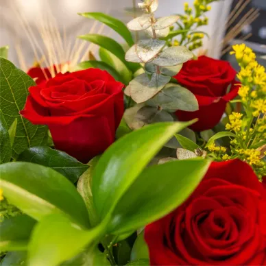 Comprar Ram de 15 Roses vermelles amb Espigues i Senyera a Barcelona | ROSES SANT JORDI 2