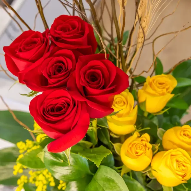 Comprar Cilindre de 10 Roses amb Drac a Barcelona | ROSES SANT JORDI