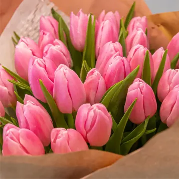 Comprar Ramo 30 tulipanes rosas deluxe en Barcelona | Flores