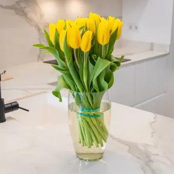 Comprar Ramo de 30 tulipanes amarillos en Barcelona | Flores