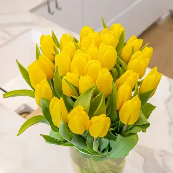 Comprar Ram de 30 tulipans a Barcelona | Flors