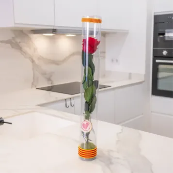 Comprar Ampolla de vidre amb rosa eterna – Regal Romàntic per a Sant Jordi a Barcelona | FLORS SANT JORDI