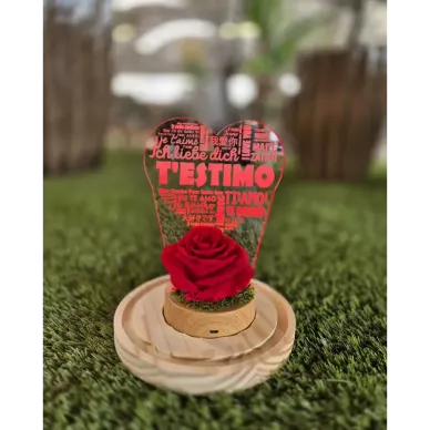 Comprar Rosa Eterna en Cúpula con Luz LED T'estimo – Regalo Romántico para Sant Jordi en Barcelona | FLORES PARA SANT JORDI