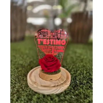 Comprar Rosa Eterna en Cúpula con Luz LED T'estimo – Regalo Romántico para Sant Jordi en Barcelona | FLORES PARA SANT JORDI