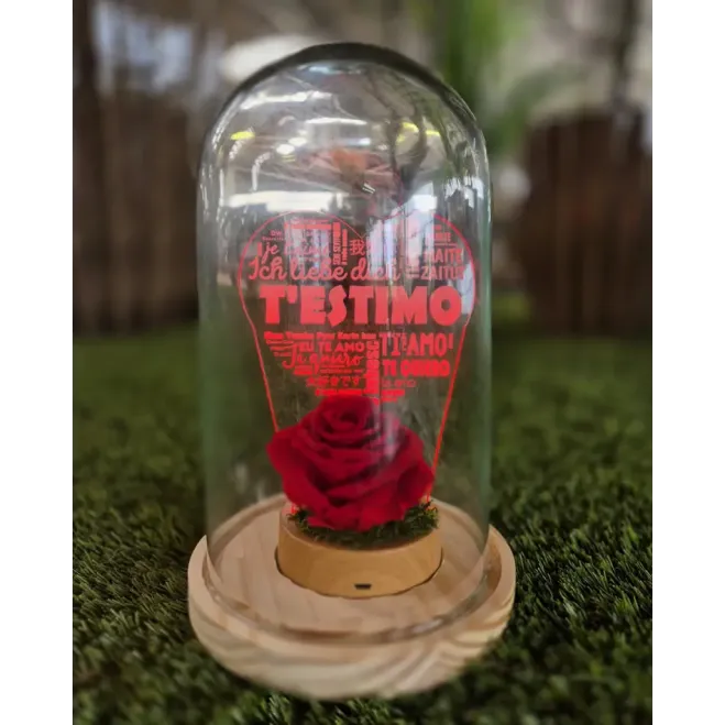 Comprar Rosa Eterna en Cúpula con Luz LED T'estimo – Regalo Romántico para Sant Jordi en Barcelona | FLORES PARA SANT JORDI