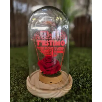 Comprar Rosa Eterna en Cúpula con Luz LED T'estimo – Regalo Romántico para Sant Jordi en Barcelona | FLORES PARA SANT JORDI