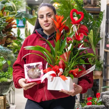 Comprar Caixa cor amb plantes variades a Barcelona | FLORS SANT VALENTI