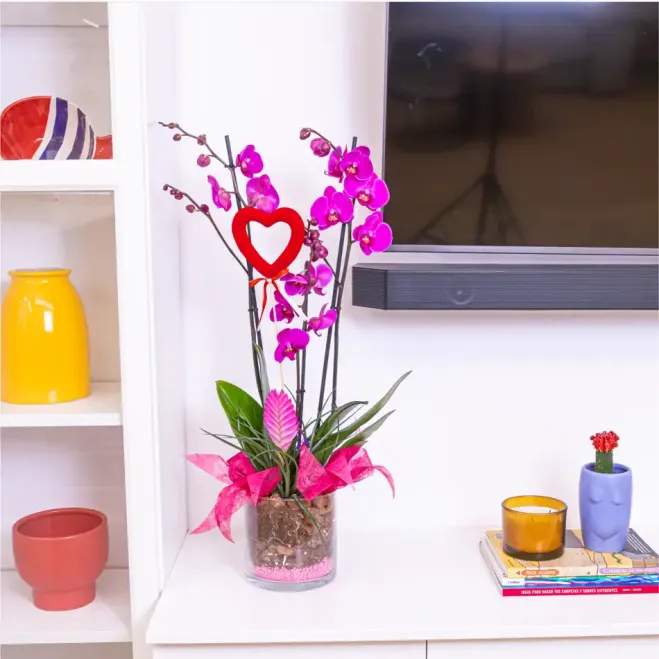 Comprar Cilindro phaleanopsis lila en Barcelona | FLORES PARA SAN VALENTÍN