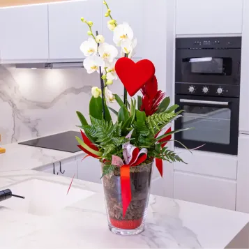 Comprar Gerro vidre amb phaleanopsis blanca a Barcelona | FLORS SANT VALENTI