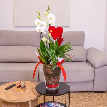 Comprar Gerro vidre amb phaleanopsis blanca a Barcelona | FLORS SANT VALENTI