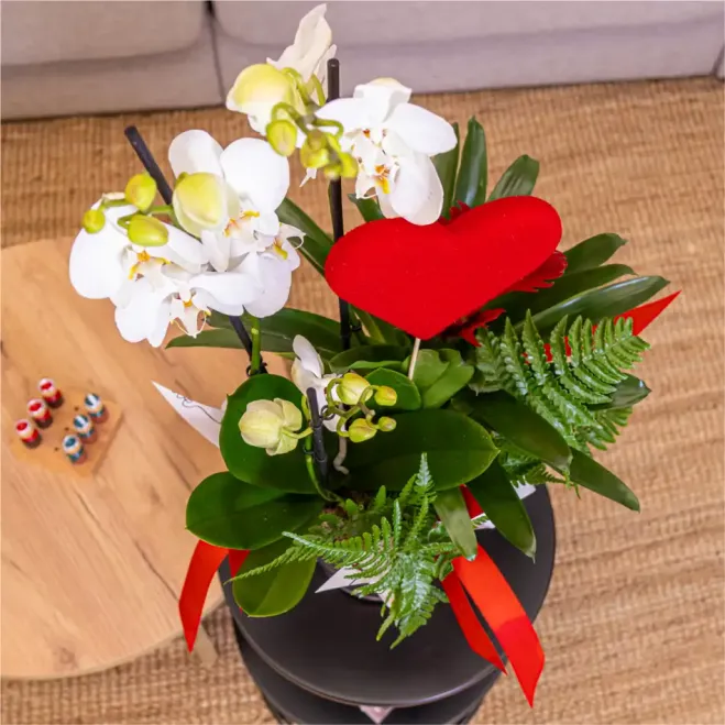 Comprar Gerro vidre amb phaleanopsis blanca a Barcelona | FLORS SANT VALENTI