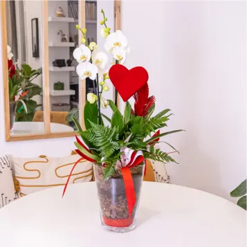 Comprar Jarrón cristal con phaleanopsis blanca en Barcelona | FLORES PARA SAN VALENTÍN