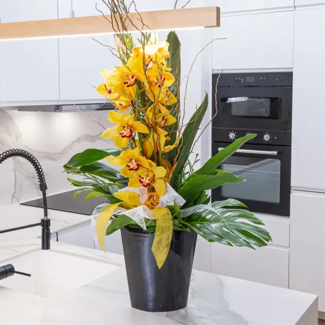 Comprar Vertical de orquídea cymbidium sobre base de cerámica en Barcelona | Flores de Invierno