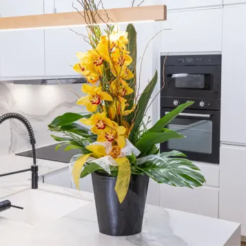 Comprar Vertical de orquídea cymbidium sobre base de cerámica en Barcelona | Flores de Invierno