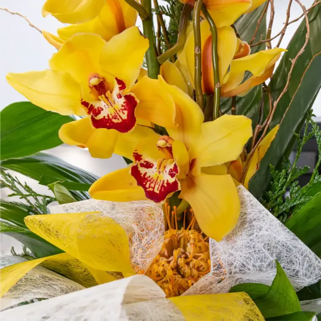 Comprar Vertical de orquídea cymbidium sobre base de cerámica en Barcelona | Flores de Invierno