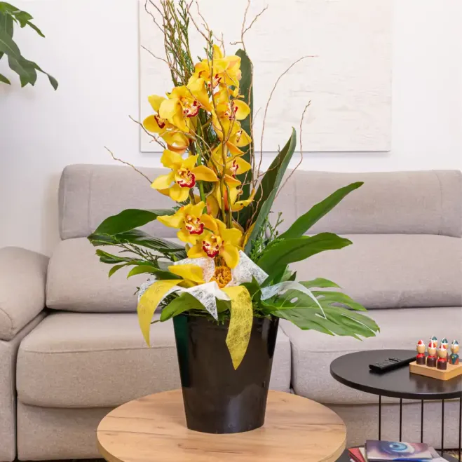 Comprar Vertical de orquídea cymbidium sobre base de cerámica en Barcelona | Flores de Invierno