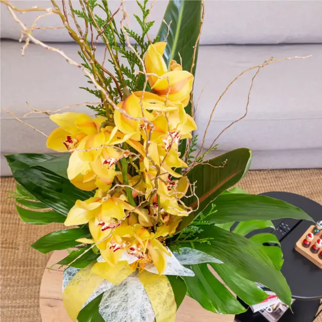 Comprar Vertical de orquídea cymbidium sobre base de cerámica en Barcelona | Flores de Invierno