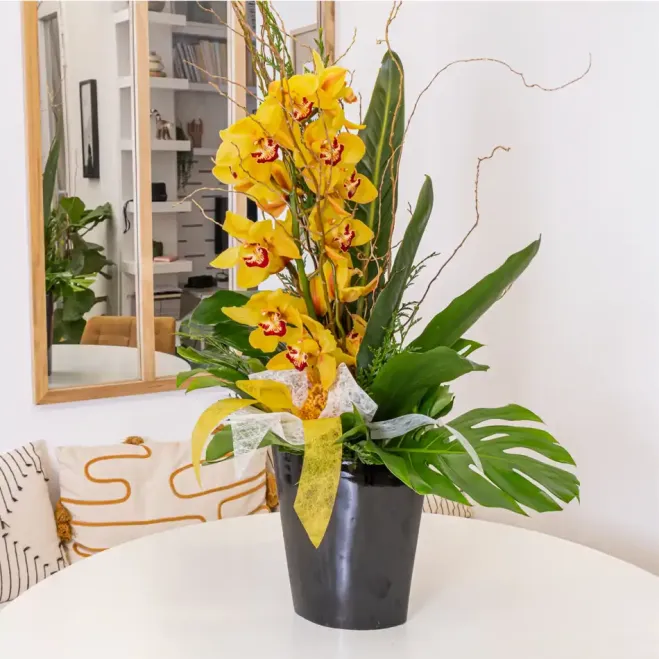 Comprar Vertical d'orquídia cymbidium sobre base de ceràmica a Barcelona | Flors d'Hivern