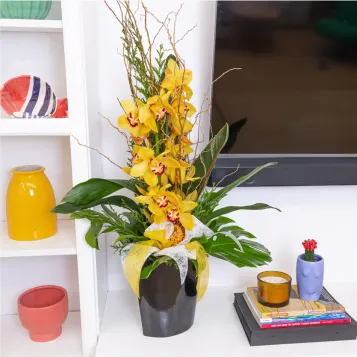 Comprar Vertical de orquídea cymbidium sobre base de cerámica en Barcelona | Flores de Invierno